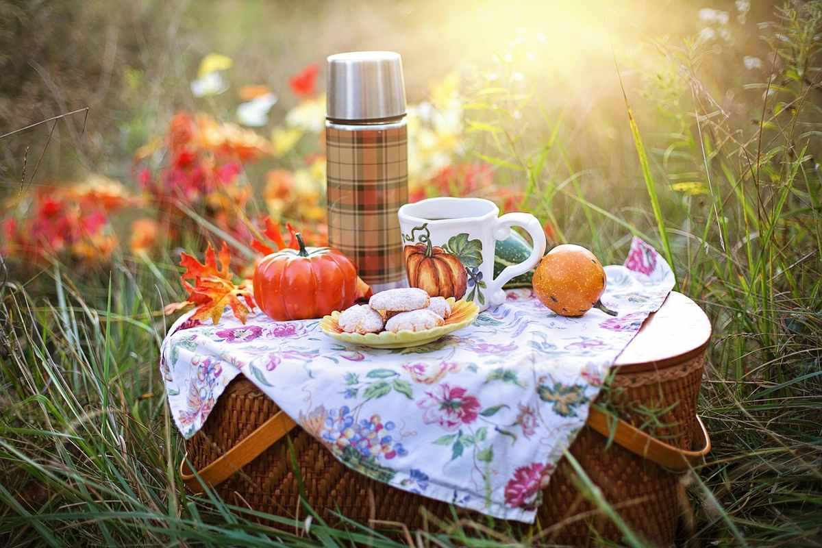Table de pique-nique dressée en prairie avec thermos écossais, tasse décorée, potirons et biscuits, fleurs sauvages en arrière-plan Table de pique-nique dressée en prairie avec thermos écossais, tasse décorée, potirons et biscuits, fleurs sauvages en arrière-plan